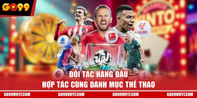 Đối tác hàng đầu hợp tác cùng danh mục thể thao