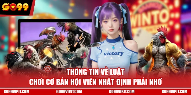 Thông tin về luật chơi cơ bản hội viên nhất định phải nhớ 